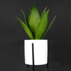 Succulente Artificielle En Pot Blanc 27 Cm-DecoWoerner Best