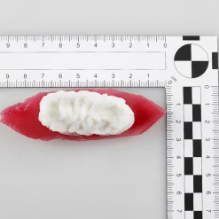 Sushi-Set Aliments Factices, Set 4 Pièces-DecoWoerner Clearance
