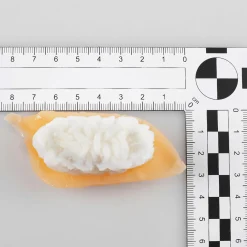 Sushi-Set Aliments Factices, Set 4 Pièces-DecoWoerner Clearance