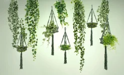 Suspension Tradecantia En Pot 65 Cm-DecoWoerner Online