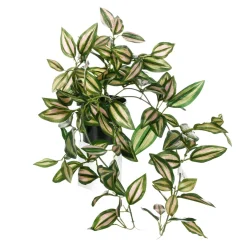 Suspension Tradecantia En Pot 30 Cm De Haut-DecoWoerner New
