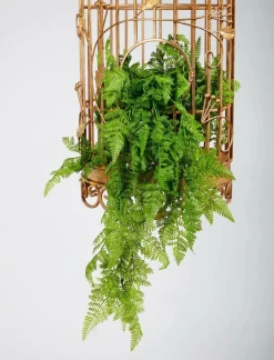 Suspension Végétale Fougère Femelle, 119 Cm-DecoWoerner Outlet
