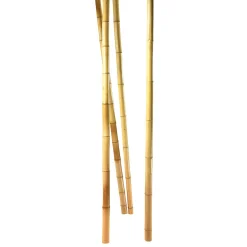 Tiges De Bambou Nature, 3 Pces-DecoWoerner Sale