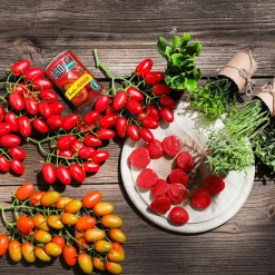 Tomates Roma En Grappe Factices Pour L'alimentation, Paquet De 2 Pièces-DecoWoerner Hot
