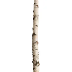 Tronc De Bouleau 100 Cm Environ 6-10 Cm Ø-DecoWoerner Outlet