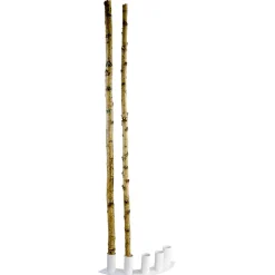 Troncs De Bouleau Déco 170 Cm, 5 Pces-DecoWoerner Clearance