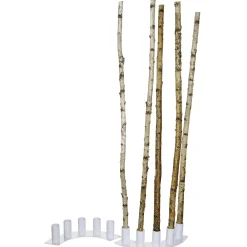 Troncs De Bouleau Déco 170 Cm, 5 Pces-DecoWoerner Clearance