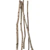 Troncs De Bouleau Déco 220 Cm-DecoWoerner Sale