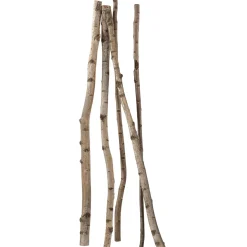 Troncs De Bouleau Déco 220 Cm-DecoWoerner Sale