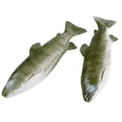 Truite Factice, Paquet De 2 Pièces-DecoWoerner Best