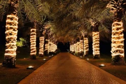 Tuyau Lumineux Pour L'illumination De Décorations 44 M-DecoWoerner Best
