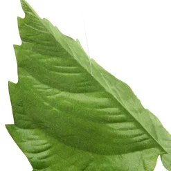 Vignette Feuilles De Bouleau 160 Cm-DecoWoerner