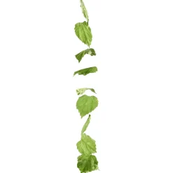 Vignette Feuilles De Bouleau 160 Cm-DecoWoerner